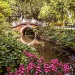 Chic Parisien, Parc Monceau